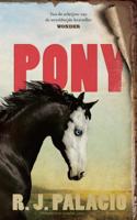 Pony (Paperback)