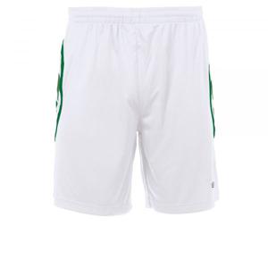 Stanno 420117 Pisa Short - White-Green - M