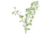 Kunstblad Eucalyptus groen Countryfield - Countryfield