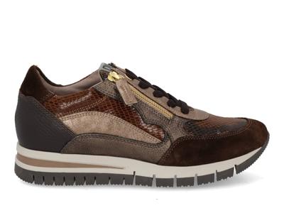 DL Sport 6725 vers 02 cacao multi bruin maat 39