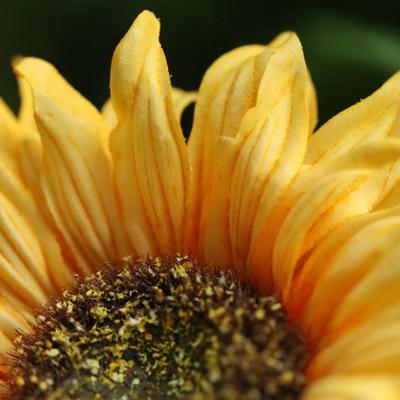 Zonnebloemtak Kunsttak N 63cm
