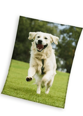 Sweet Home fleeceplaid hond groen 150x200cm