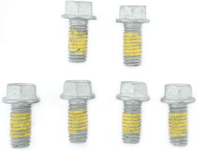 TRW bouten set screw set 6pcs. m6x1