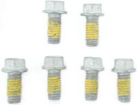 TRW bouten set screw set 6pcs. m6x1
