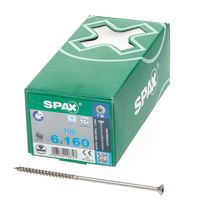 Spax pk t30 rvs dd 6,0x160(100)