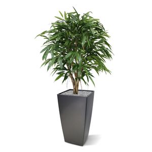 Longifolia XL deluxe kunstboom 120cm