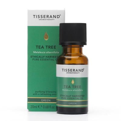 Tisserand Tea tree organic ethically harvested 20 Milliliter