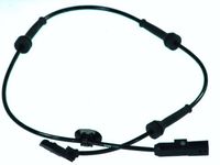 ABS-Sensor 24071151803