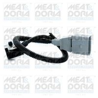 Nokkenassensor 87480