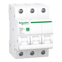 Schneider Electric R9F23313 Zekeringautomaat