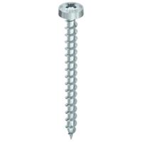 HECO TOPIX-plus schroeven - rondkop verzinkt - 5x30 mm - PZ2 - voldraad - 200 st