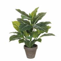 Mica Decorations Kunstplant - philodendron - groen - 49 cm - thumbnail