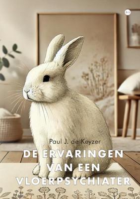 De ervaringen van een vloerpsychiater (Paperback)