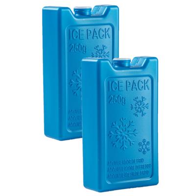 Plasticforte 250 grams koelelementen - 4x stuks - 13 x 7 x 3 cm - blauw - kunststof