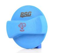 Radiateurdop BSG90551004
