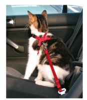 Trixie Trixie kattentuig voor in de auto rood - thumbnail