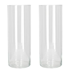 Set van 2x stuks bloemenvaas/vazen van transparant glas 40 x 15 cm