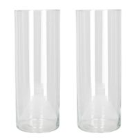 Set van 2x stuks bloemenvaas/vazen van transparant glas 40 x 15 cm