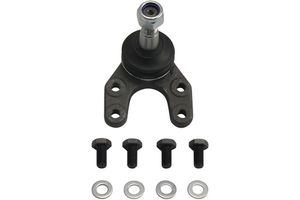 Fuseekogel SBJ4507