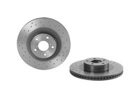 BREMBO XTRA LINE BREMBO, Remschijftype: Geperforeerd / Geventileerd, u.a. fÃ¼r Subaru, Toyota