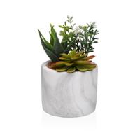 Decoratieve plant Versa Keramisch Plastic Fusion Vetplant 9 x 15 x 9 cm