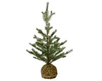 everlands kunstkerstboom op mosbol H60cm everlands kunstkerstboom op mosbol H60cm