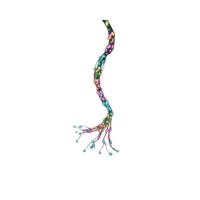 LED-lichtkrans Lumineo Multicolour 8 m