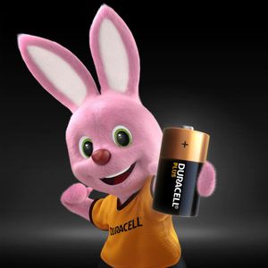 Duracell C Plus Power batterijen (2 stuks)