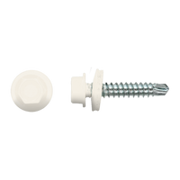 pgb-Europe PGB-FASTENERS | Zelfborende schroef bp1 4,8x35 Zn R9010 ZBG141001004890103 pgb-Europe PGB-FASTENERS | Zelfborende schroef bp1 4,8x35 Zn R9010 ZBG141001004890103