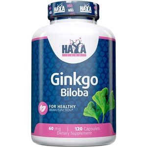 Ginkgo Biloba 120caps