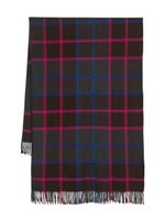 ETRO check-print virgin wool scarf - Marron