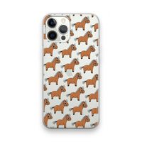 Pony: iPhone 12 Pro Max Transparant Hoesje