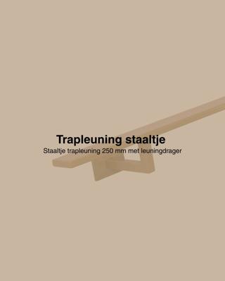 Staaltje trapleuning rechthoekig 40x10mm goud