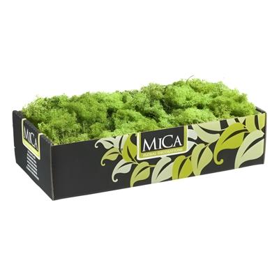 Mica Decorations Rendiermos - 500 gram - groen - hobby mos Mica Decorations Rendiermos - 500 gram - groen - hobby mos