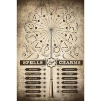 Poster Harry Potter - Spells and Charms 61x91,5cm