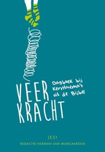 Veerkracht (Paperback)