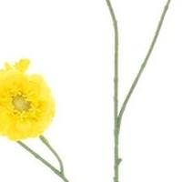 Mini zinnia spray yellow 88 cm kunstbloem Erutan Avon - Erutan avon