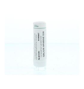 Ginkgo biloba LM30