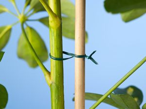 Bindband groen met metalen kern geplastificeerd 50m - Nature