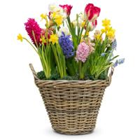 Mega Collections Planten of bloemen mand - D50 x H40 cm - rond - rotan gevlochten - bloempot