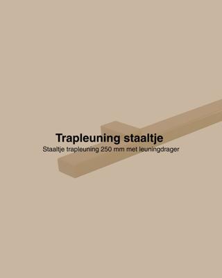 Staaltje trapleuning rechthoekig 40x20mm goud