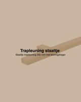 Staaltje trapleuning rechthoekig 40x20mm goud