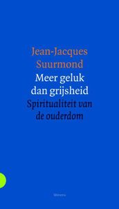 Meer geluk dan grijsheid - Jean-Jacques Suurmond - ebook