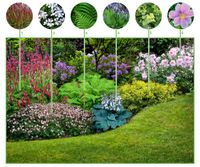 Borderpakket Schaduwtuin (12 planten) Borderpakket Schaduwtuin (12 planten)