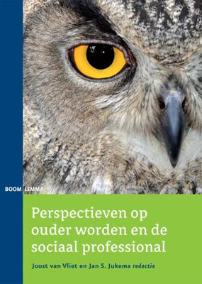 Perspectieven op ouder worden en de sociaal professionals (Paperback)