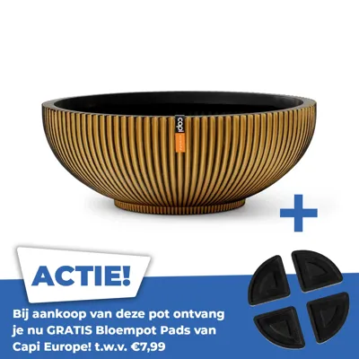 Schaal groove d40h15cm zwart goud