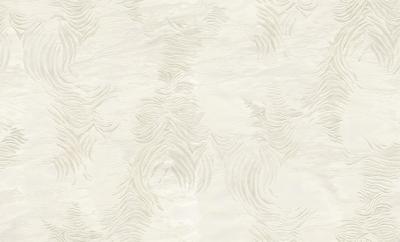 Dutch Wallcoverings Roberto Cavalli 9 - Zebra - Wit