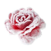 1x stuks decoratie bloemen roos roze met sneeuw op clip 15 cm