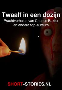 Twaalf in een dozijn - Charles Baxter, Pavel Melnikov, Alice Munro, Dashiell Hammet, John Jansen van Galen, Peter van Gestel, Roel van Duyn, Be - ebook
