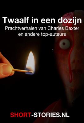 Twaalf in een dozijn - Charles Baxter, Pavel Melnikov, Alice Munro, Dashiell Hammet, John Jansen van Galen, Peter van Gestel, Roel van Duyn, Be - ebook